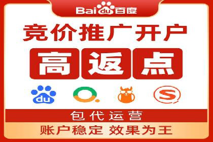 SEM服务公司助力品牌崛起案例